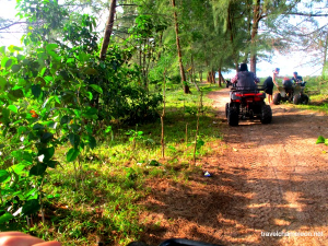 ATV Jungle Tour (3)