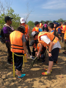 CSR Mangrove Replanting (1)