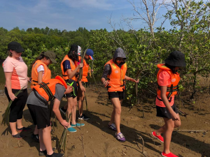 CSR Mangrove Replanting (2)