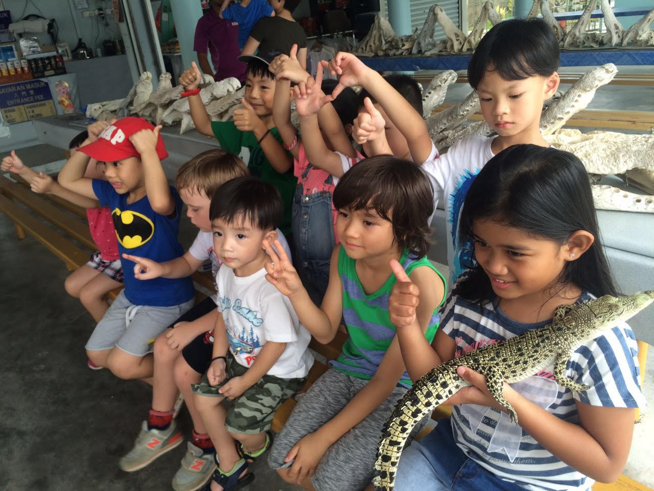 Crocodile Farm