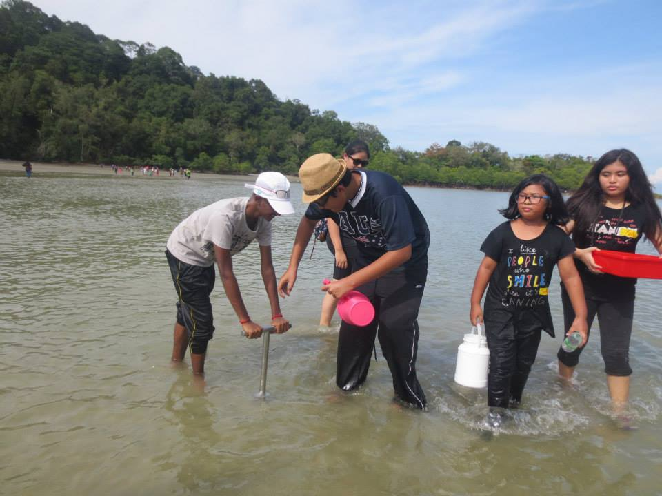 Marine Biology Beach walk (1)