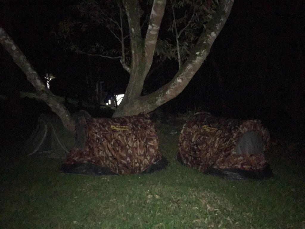 Radiant Campsite A At Night