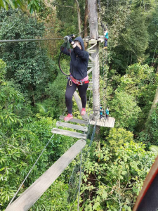 Skytrex High Ropes (2)