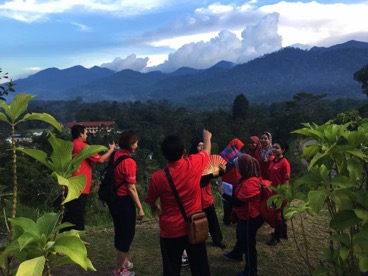Treasure Hunt (4)