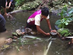Ulu Tampil Experience (3)
