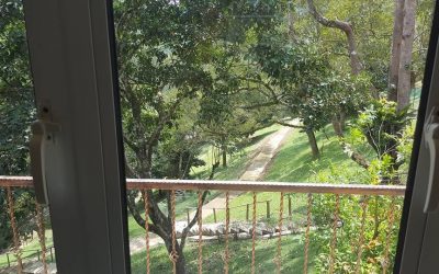 Orchard View from Orchard Villa dining