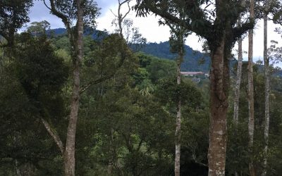 Orchard Villa Orchard