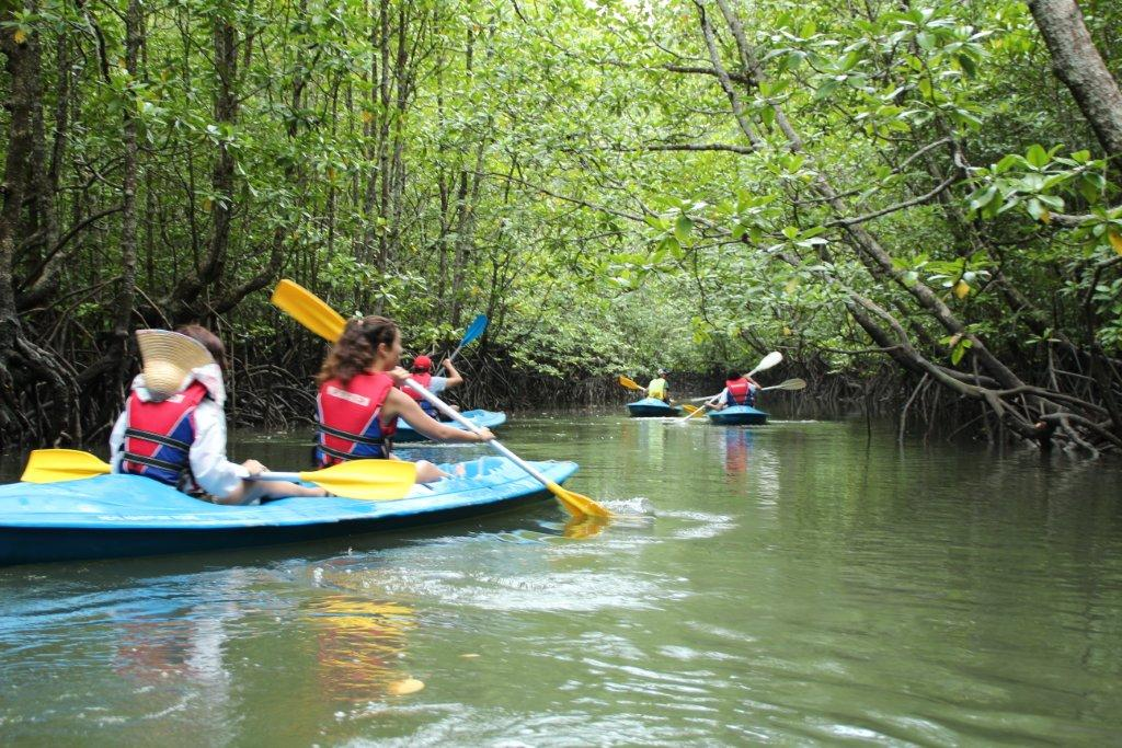 River Kayaking Expedition (1)