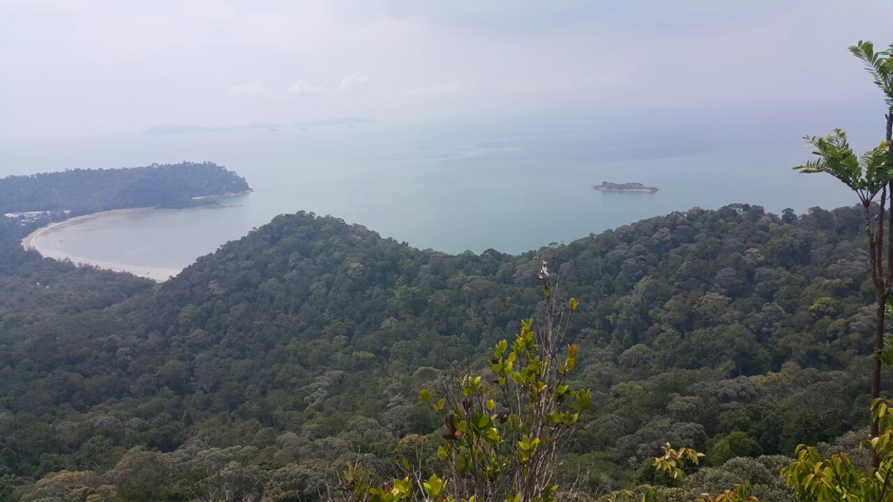 View from top of Gunong Arong