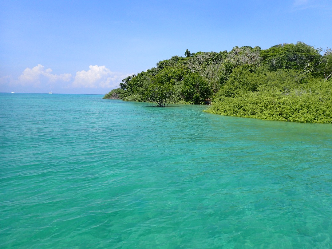 snorkelling penyabong