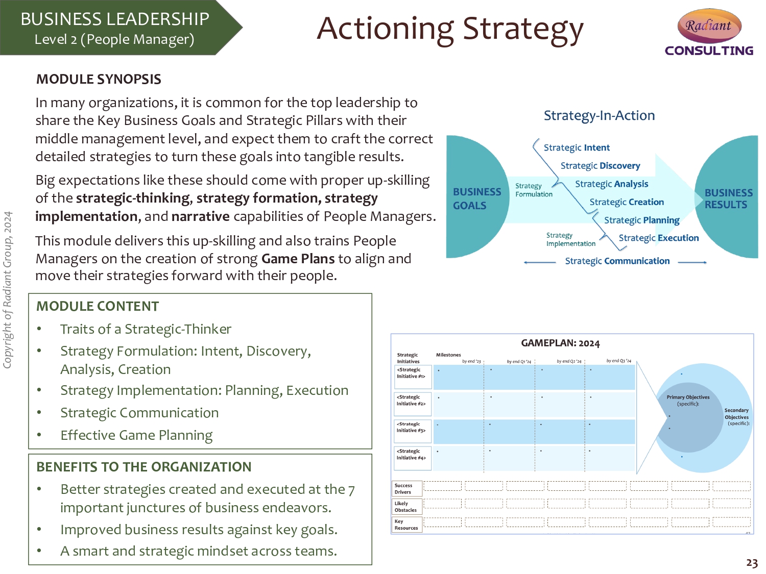 Actioning Strategy - Radiant Group